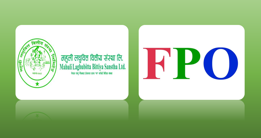 महुली लघुवित्तको एफपिओ पुस ५ गतेदेखि निष्काशन हुने, आधार मूल्यमै ४ लाख ७५ हजार ४४९.१५ कित्ता शेयर निष्काशन गर्ने